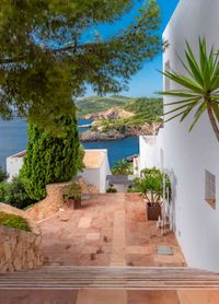 casas-de-lujo-ibiza
